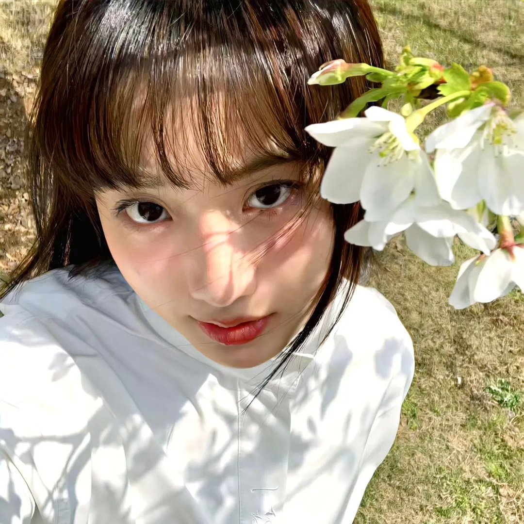 丧钟:骑士与龙 在线观看
